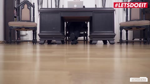 女同性恋秘书在工作中被撞见互舔阴部